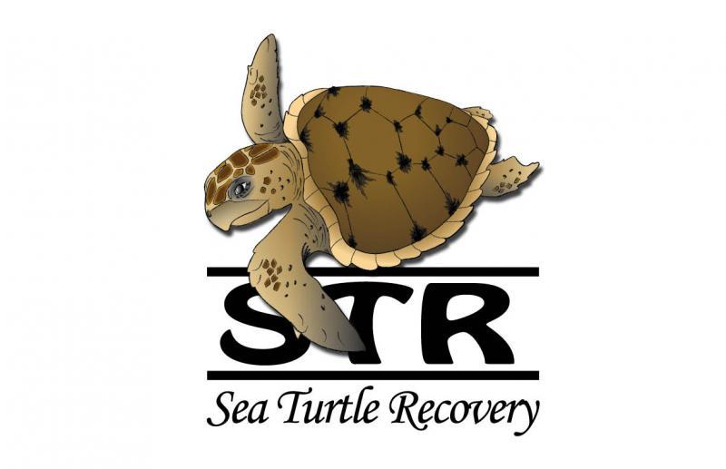 https://plugintesting.jenkinsons.com/aquarium/wp-content/uploads/sites/2/2018/04/Sea-Turtle-Recovery.jpg