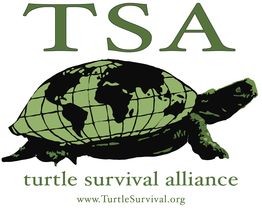 https://plugintesting.jenkinsons.com/aquarium/wp-content/uploads/sites/2/2018/04/Turtle-Survival-Alliance.jpg