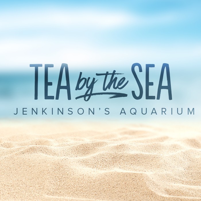 Tea by the Sea