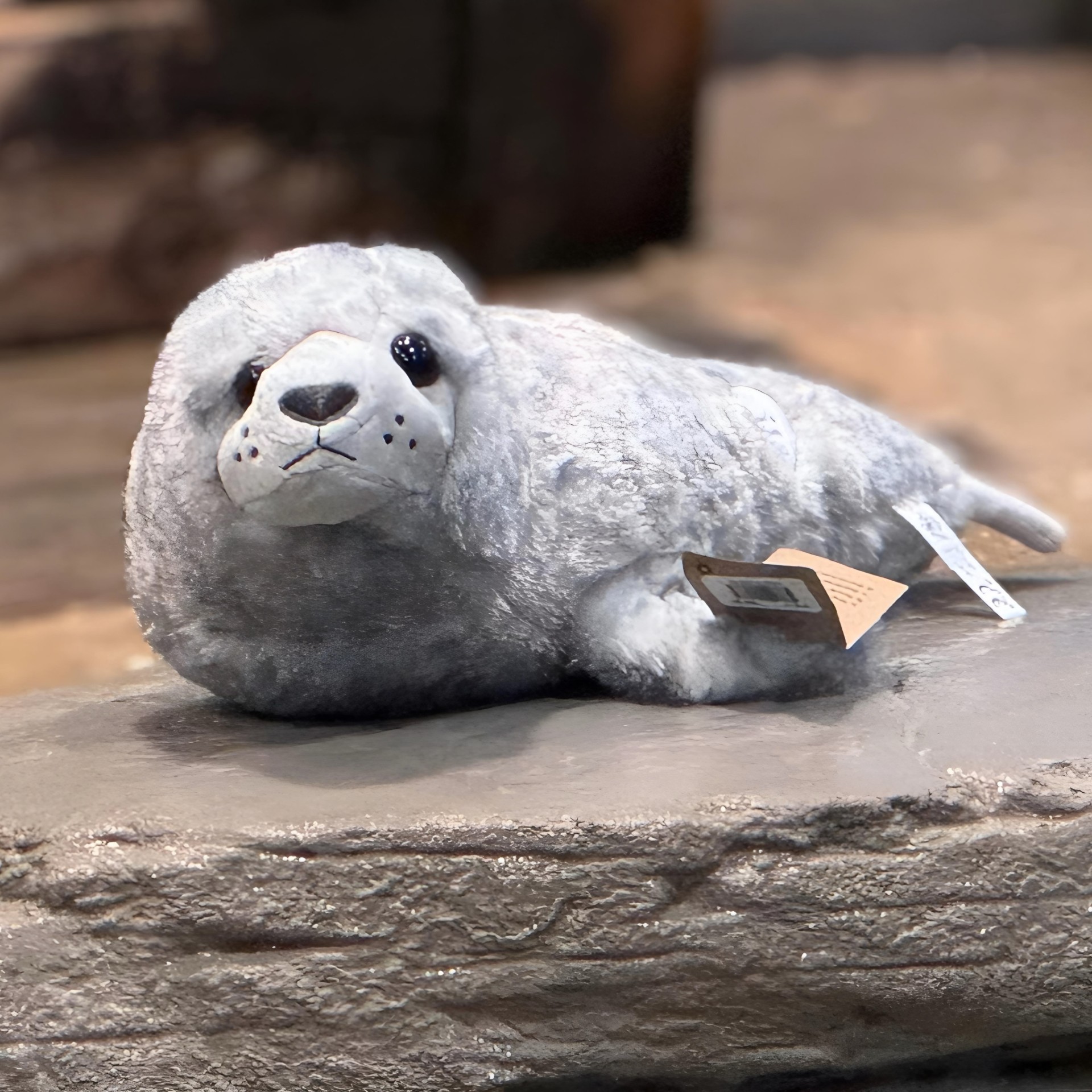 Seal: Limited Edition Turbo - Image 3