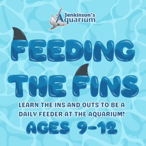 Feeding the Fins