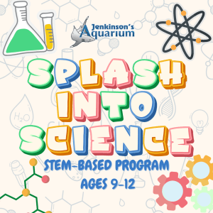 Splash into Science