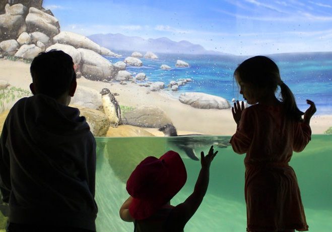 jenkinsons-aquarium-children